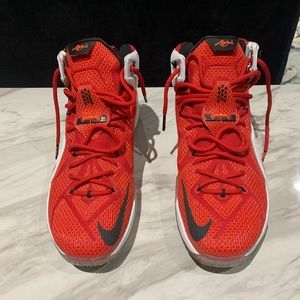 Lebron 12 Heart of a Lion
